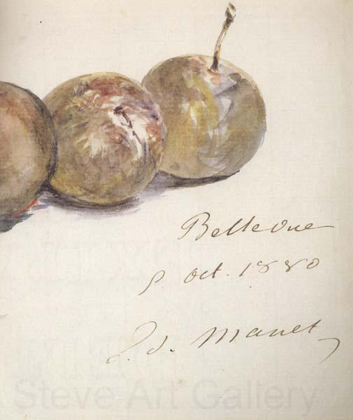 Edouard Manet Lettre avec trois prunes (mk40) Spain oil painting art